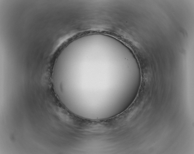 X0000112391256200909032006