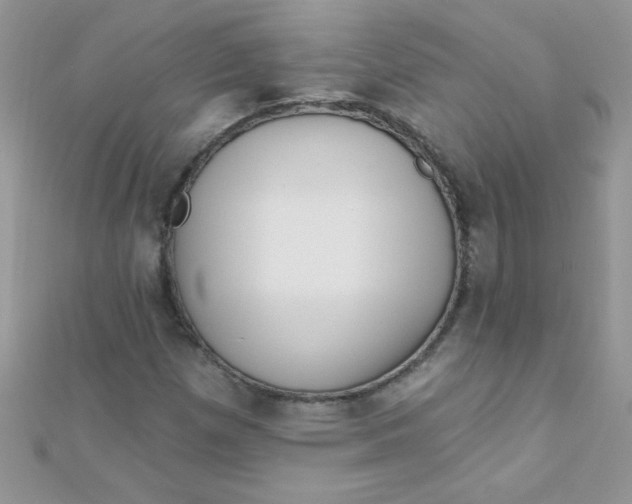 X0000112391257200909032006