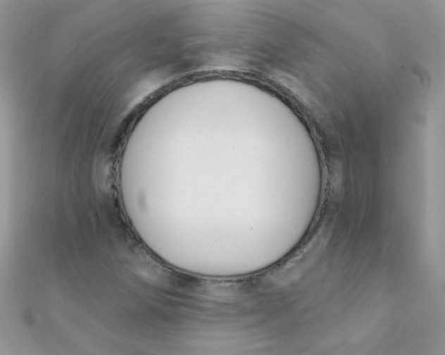 X0000112391258200909032006