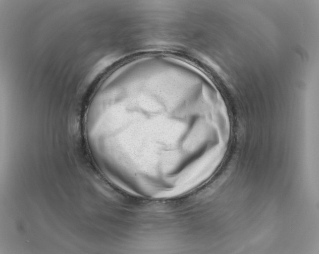 X0000112391259200909032006