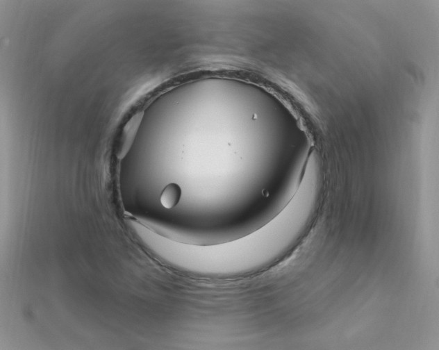 X0000112391261200909032006