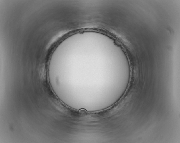 X0000112391262200909032006