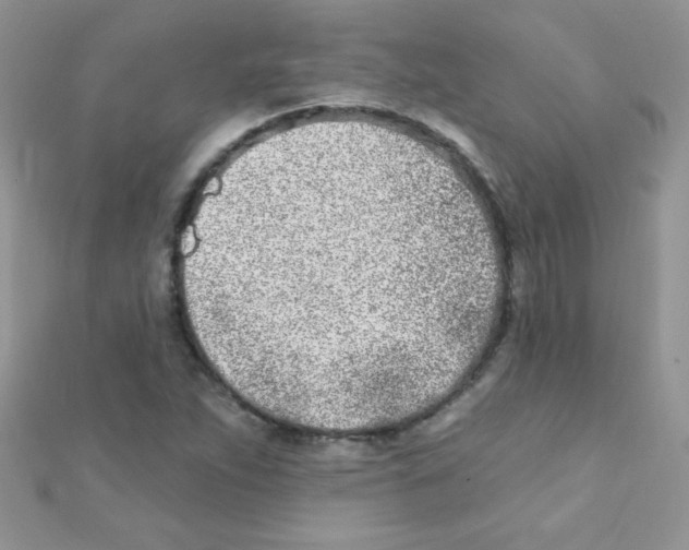 X0000112391263200909032006