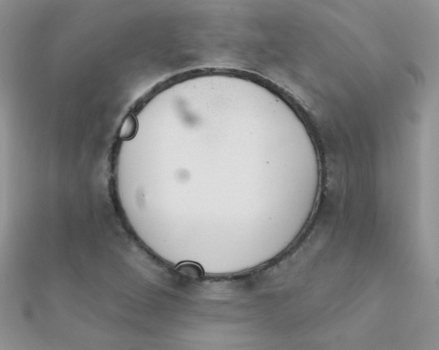 X0000112391264200909032006