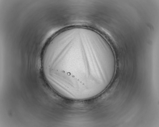 X0000112391267200909032006