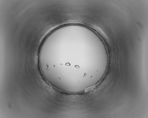 X0000112391268200909032006