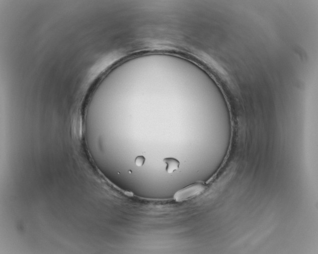 X0000112391269200909032006