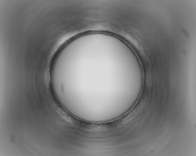 X0000112391270200909032006