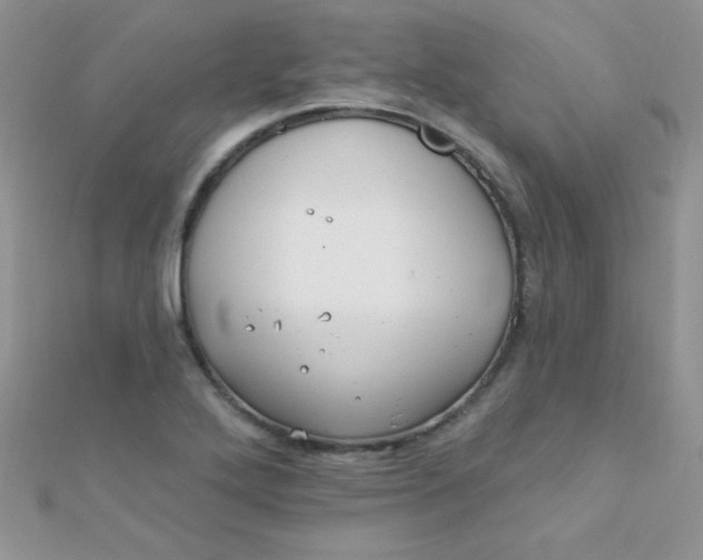 X0000112391272200909032006