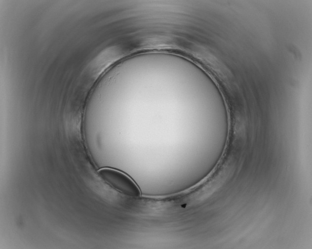 X0000112391273200909032006