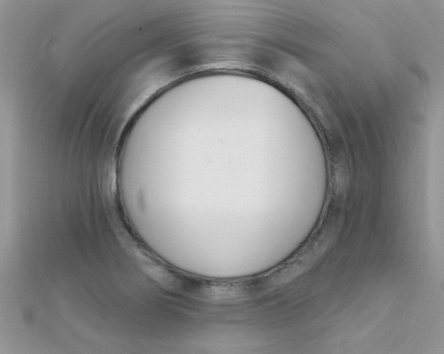 X0000112391274200909032006