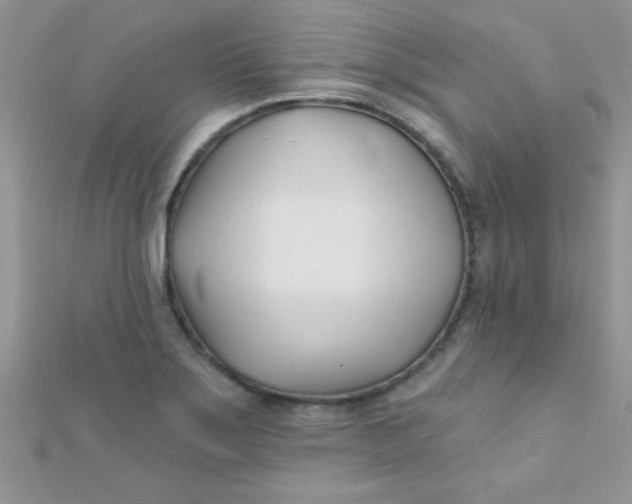 X0000112391275200909032006