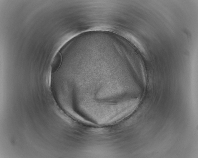 X0000112391276200909032006