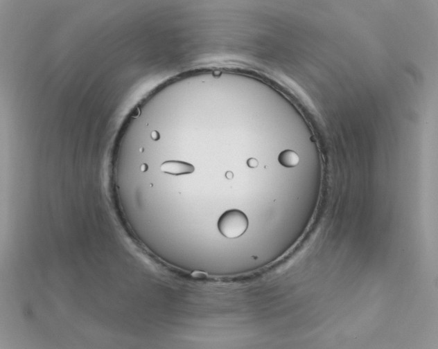 X0000112391277200909032006