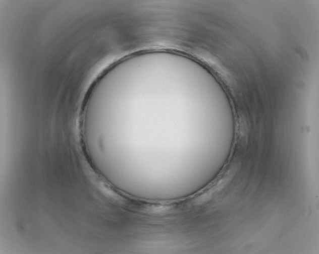 X0000112391278200909032006