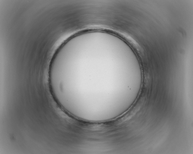 X0000112391279200909032006