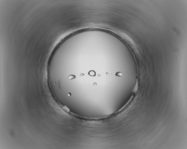 X0000112391280200909032006