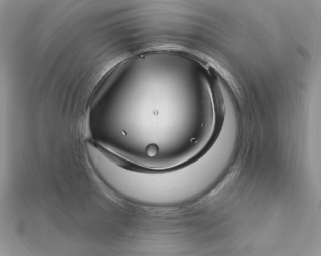 X0000112391281200909032006