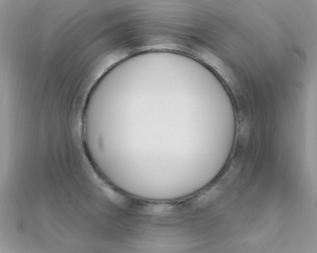 X0000112391282200909032006