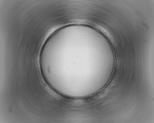 X0000112391283200909032006