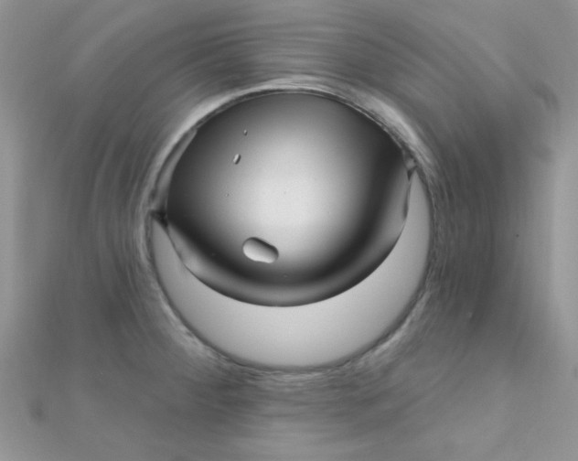 X0000112391284200909032006