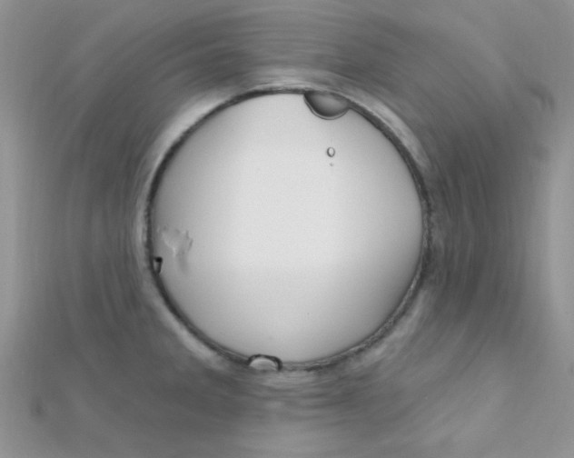 X0000112391285200909032006