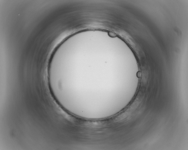 X0000112391286200909032006