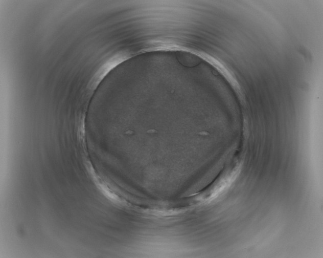 X0000112391289200909032006