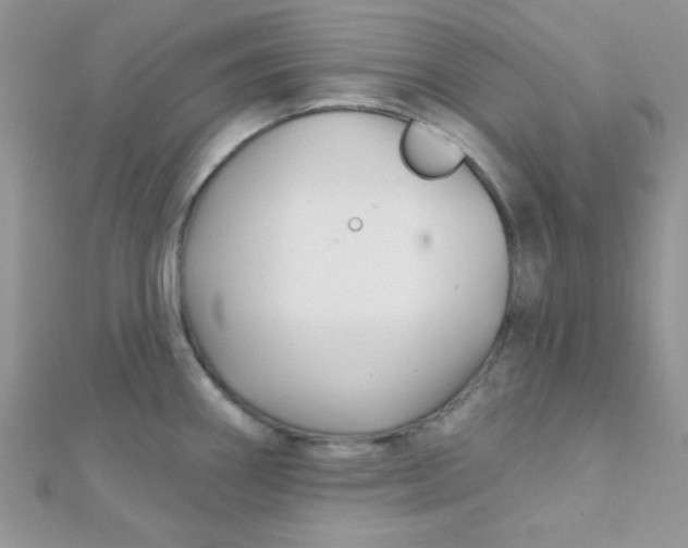 X0000112391290200909032006