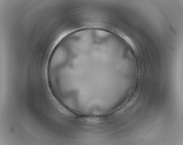 X0000112391291200909032006