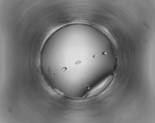 X0000112391292200909032006