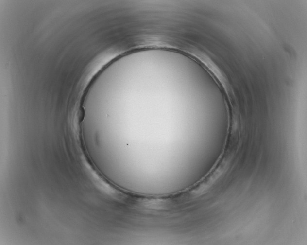 X0000112391293200909032006