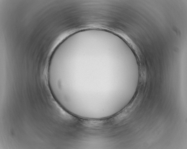 X0000112391294200909032006