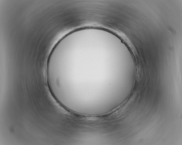 X0000112391295200909032006