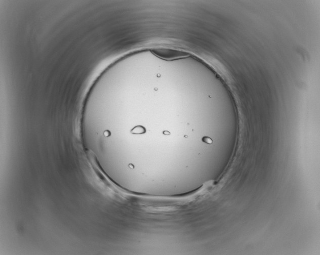 X0000112391296200909032006