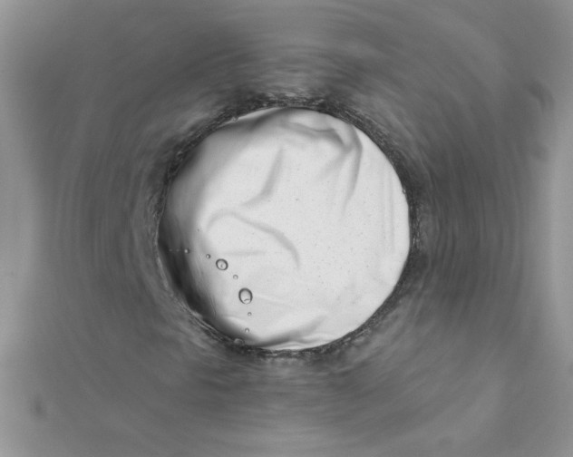 X0000112391297200909032005