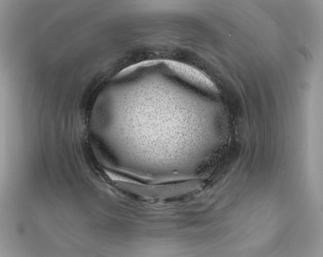 X0000112391298200909032005