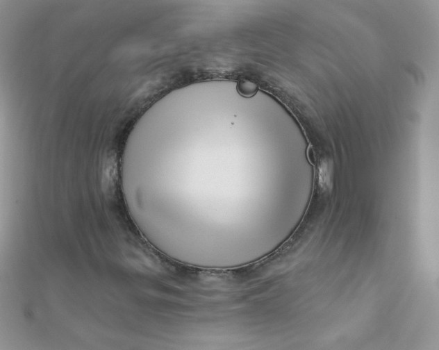 X0000112391299200909032005