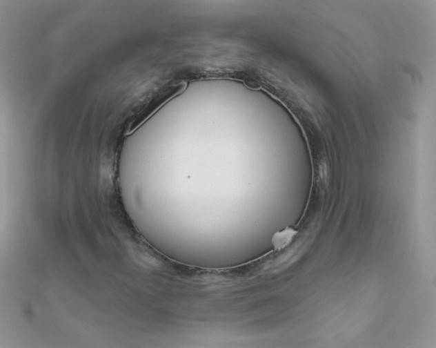 X0000112391300200909032005