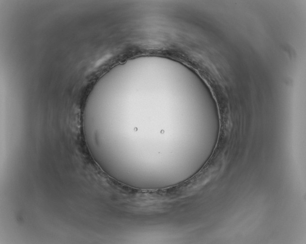 X0000112391301200909032005