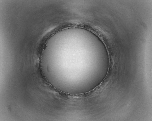 X0000112391302200909032005