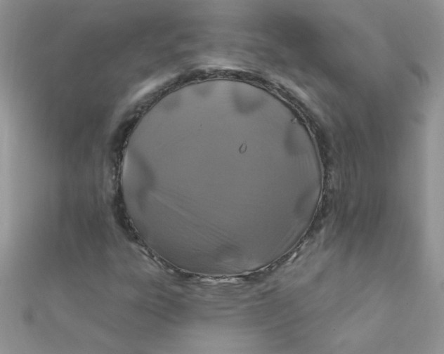 X0000112391303200909032005