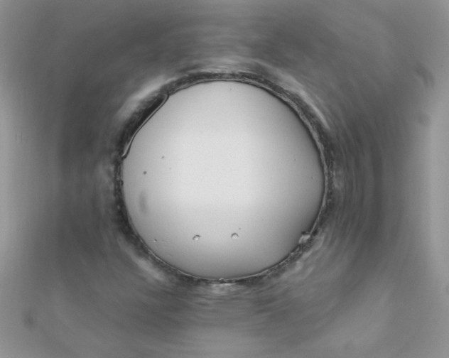 X0000112391304200909032005