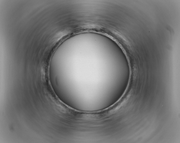 X0000112391305200909032005