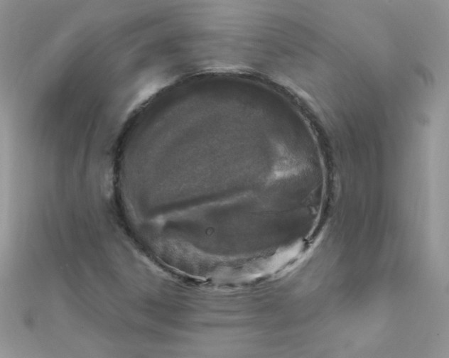 X0000112391306200909032005