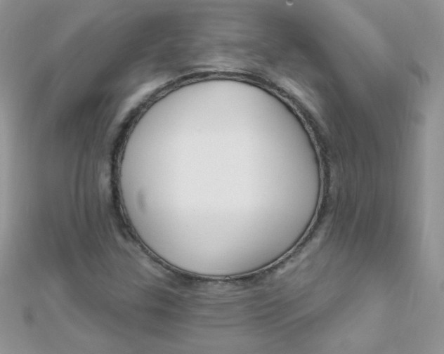 X0000112391307200909032005