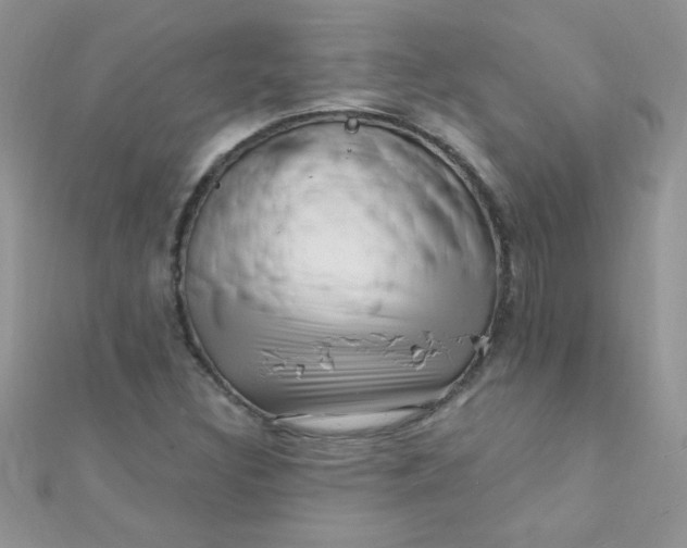 X0000112391308200909032005