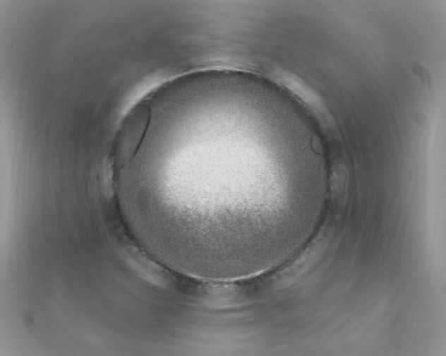 X0000112391310200909032005