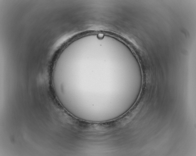 X0000112391311200909032005