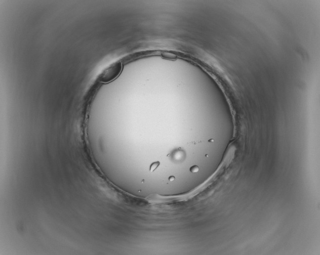 X0000112391312200909032005